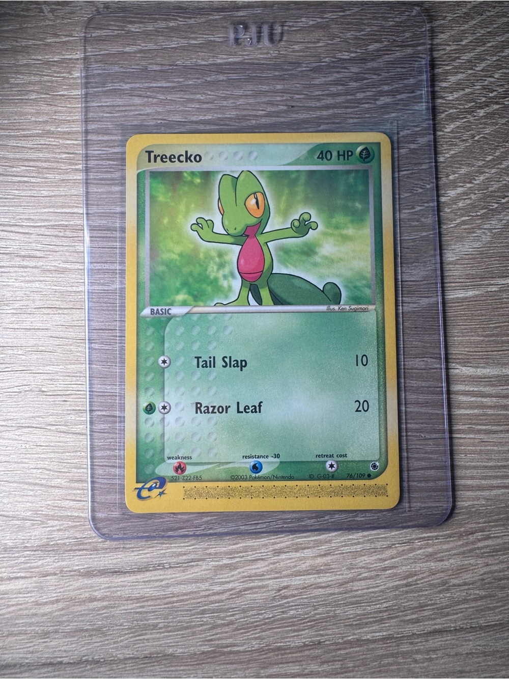 Treecko #76/Pokemon Ruby & Sapphire